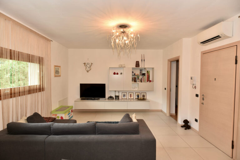 Bright apartment living room with a grey sofa and television